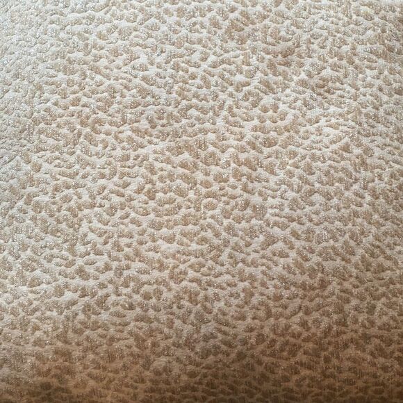 TAUPE SOFA Wildcat Print Pillow! - Picture 8 of 8